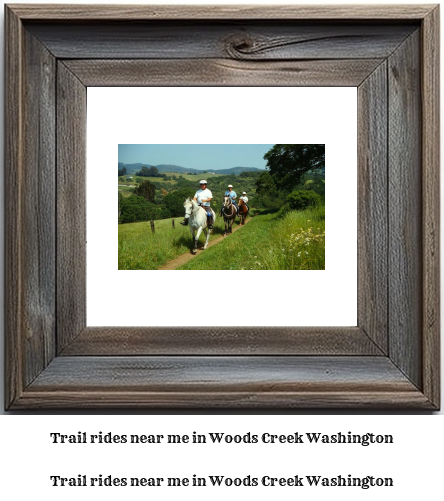 trail rides near me in Woods Creek, Washington